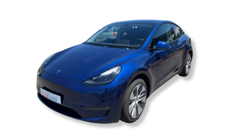 Aperçu du véhicule : LONG RANGE AWD