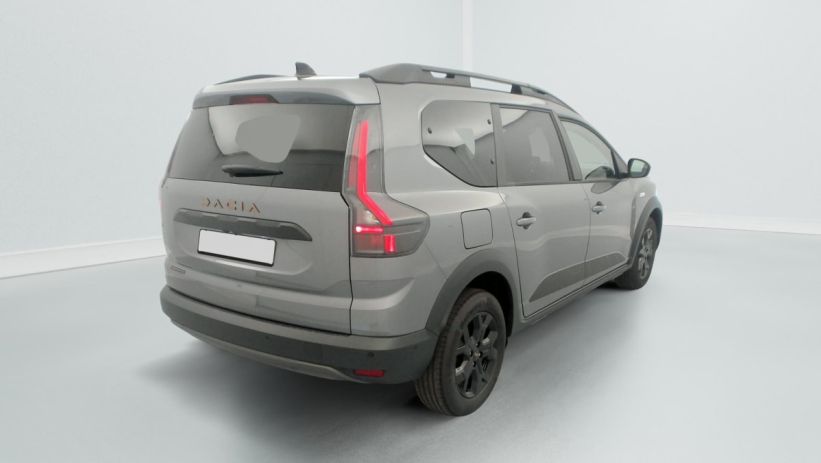 Aperçu du véhicule : TCE 110 7 PL EXTREME