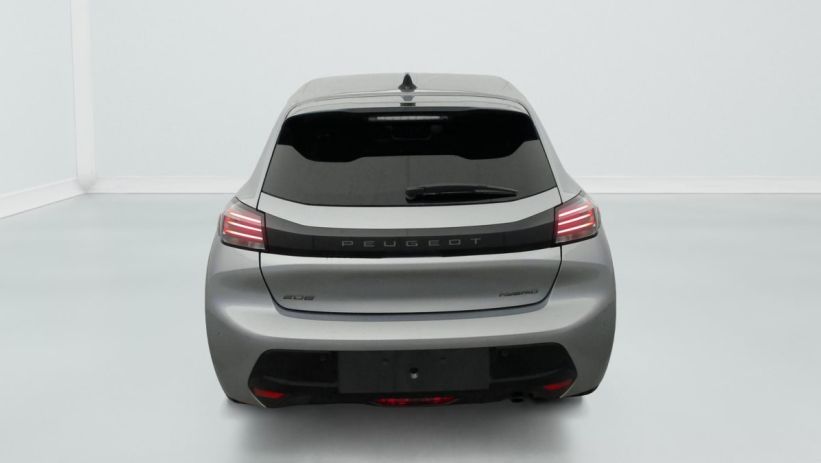 Aperçu du véhicule : Hybrid 110 e-DCS6 Allure