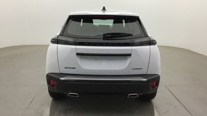 Aperçu du véhicule : 2008 Hybrid 145 e-DCS6 Style