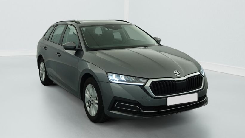 Aperçu du véhicule : 1.0 TSI mHEV e-TEC 110 ch DSG7 Ambition