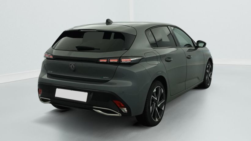 Aperçu du véhicule : PHEV 180 e-EAT8 Allure