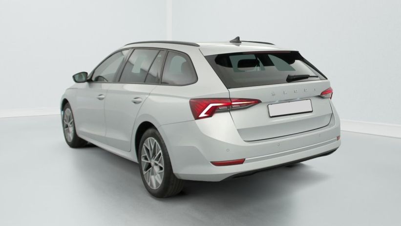 Aperçu du véhicule : 1.0 TSI 110 CH AMBITION