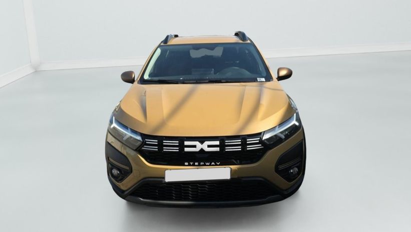 Aperçu du véhicule : TCe 110 GSR2 Stepway Extreme