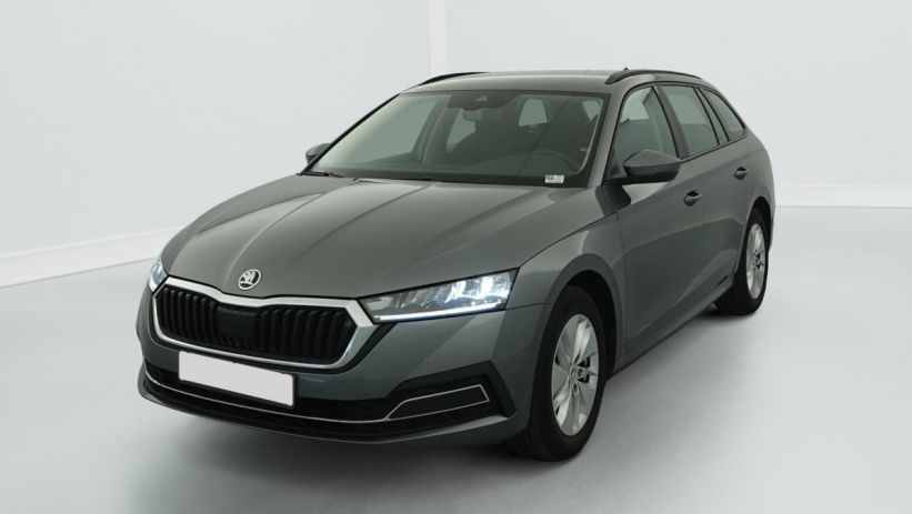 Aperçu du véhicule : 1.0 TSI mHEV e-TEC 110 ch DSG7 Ambition