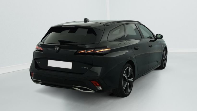 Aperçu du véhicule : PHEV 225 e-EAT8 GT