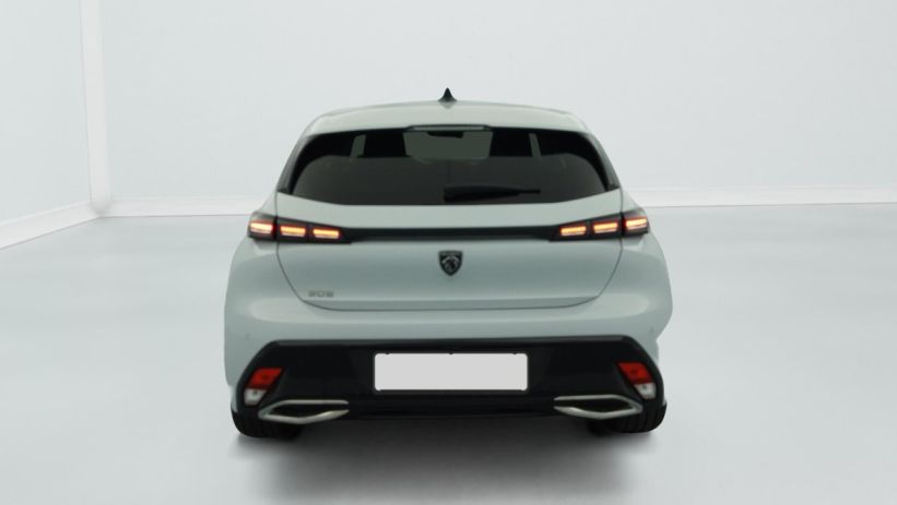 Aperçu du véhicule : Hybrid 145 e-DCS6 Allure