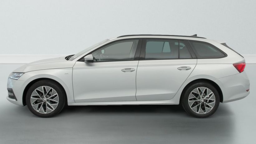 Aperçu du véhicule : 1.0 TSI 110 CH AMBITION