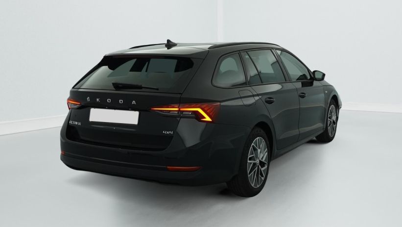 Aperçu du véhicule : 2.0 TDI 150 ch DSG7 4x4 Ambition