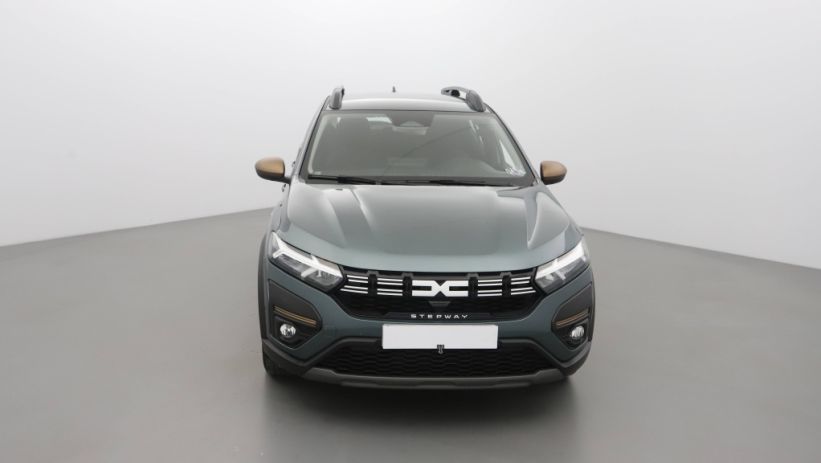 Aperçu du véhicule : 1.0 TCE 110CH STEPWAY EXTREME +