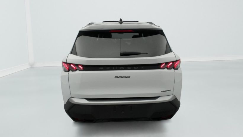 Aperçu du véhicule : Hybrid 145 e-DCS6 GT