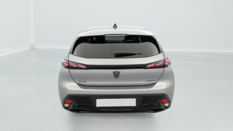 Aperçu du véhicule : Hybrid 145 e-DCS6 GT