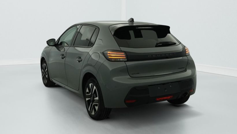 Aperçu du véhicule : Hybrid 100 e-DCS6 Allure