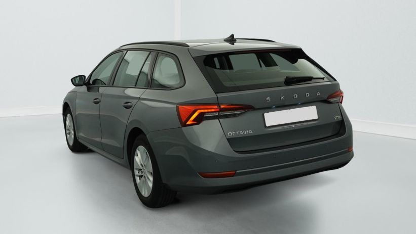 Aperçu du véhicule : 1.0 TSI mHEV e-TEC 110 ch DSG7 Ambition