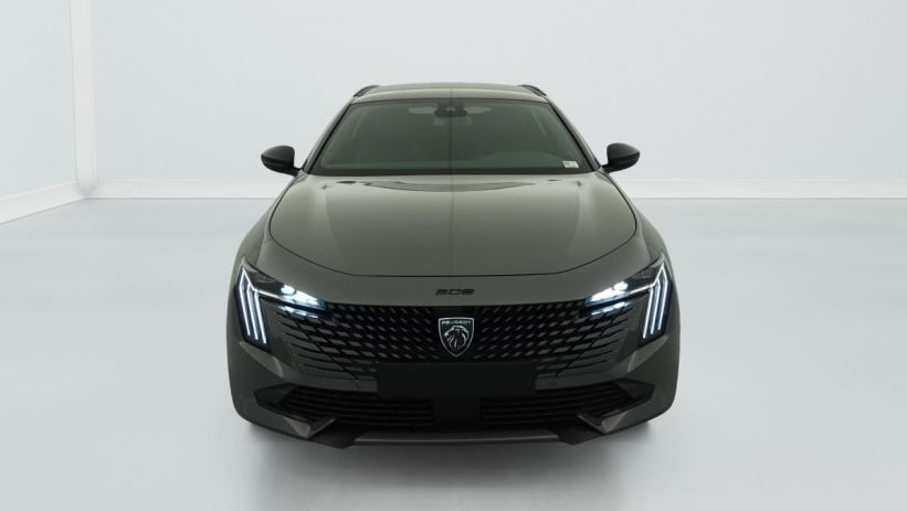 Aperçu du véhicule : Hybrid 225 e-EAT8 Allure