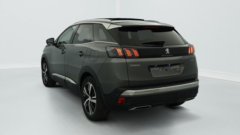 Aperçu du véhicule : Hybrid4 300 e-EAT8 GT