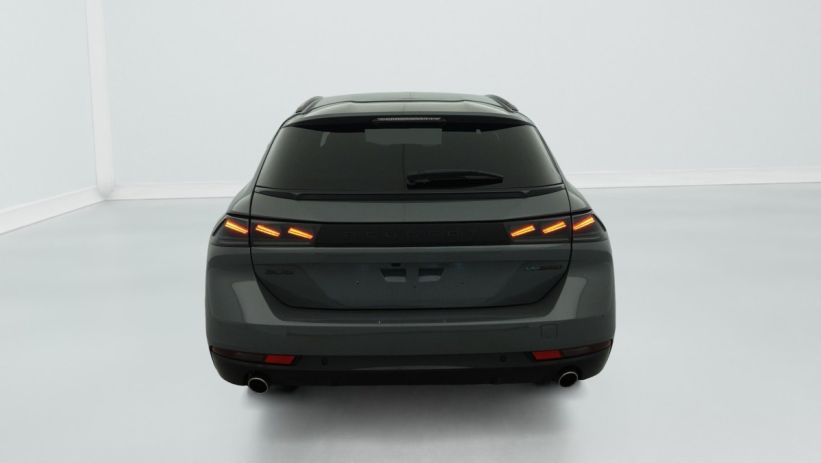 Aperçu du véhicule : Hybrid 225 e-EAT8 Allure