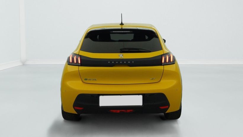 Aperçu du véhicule : 50 KWH 136CH GT
