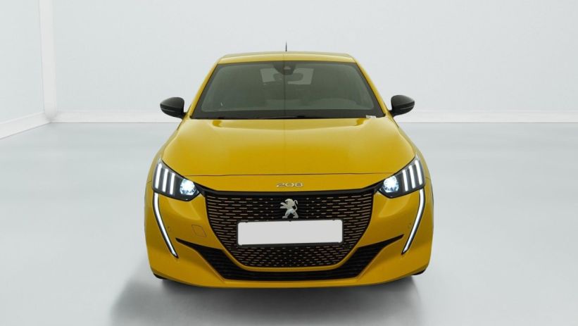 Aperçu du véhicule : 50 KWH 136CH GT