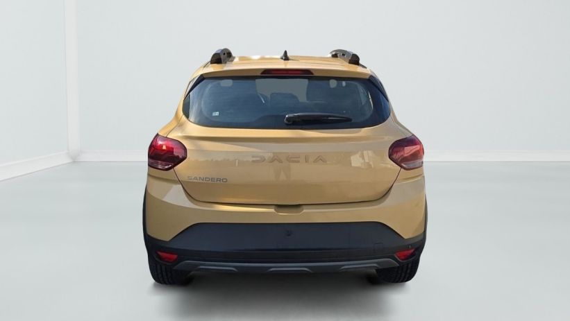 Aperçu du véhicule : TCe 110 GSR2 Stepway Extreme