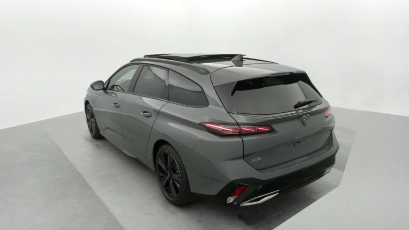 Aperçu du véhicule : Hybrid 145 e-DCS6 GT