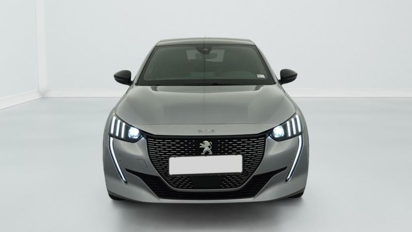 Aperçu du véhicule : 50 KWH 136CH GT