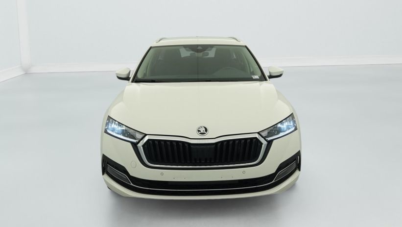 Aperçu du véhicule : 2.0 TDI 150 ch DSG7 Ambition