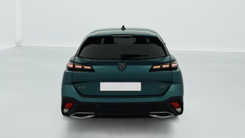 Aperçu du véhicule : PHEV 180 e-EAT8 Allure