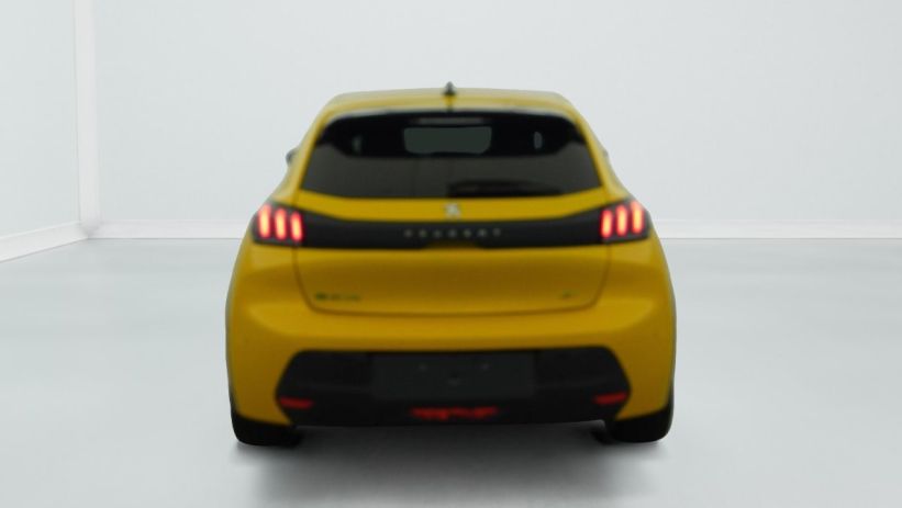 Aperçu du véhicule : 50 KWH 136CH GT