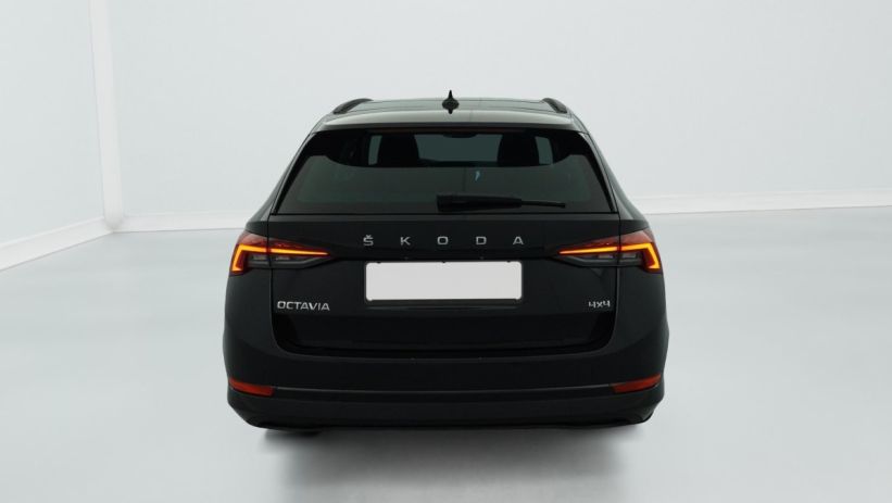 Aperçu du véhicule : 2.0 TDI 150 ch DSG7 4x4 Ambition