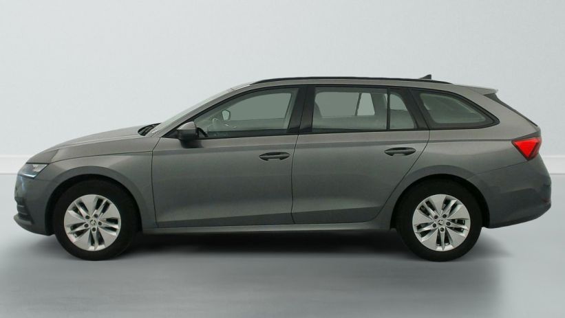 Aperçu du véhicule : 1.0 TSI mHEV e-TEC 110 ch DSG7 Ambition