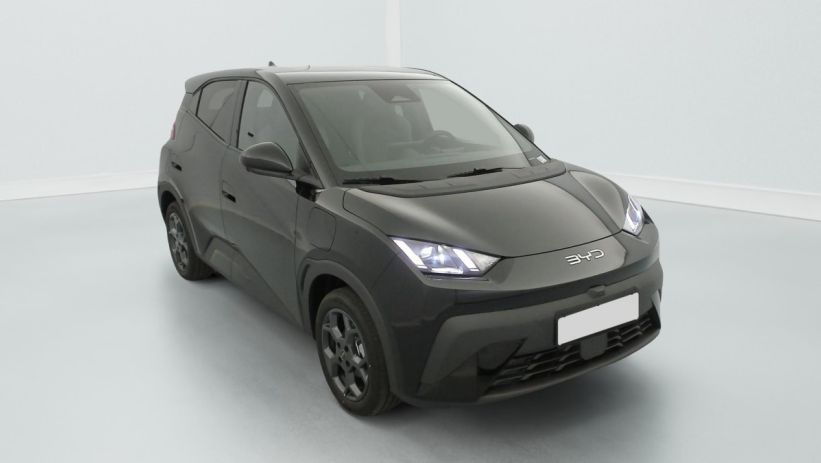 Aperçu du véhicule : 43.2 kWh 156 ch Comfort