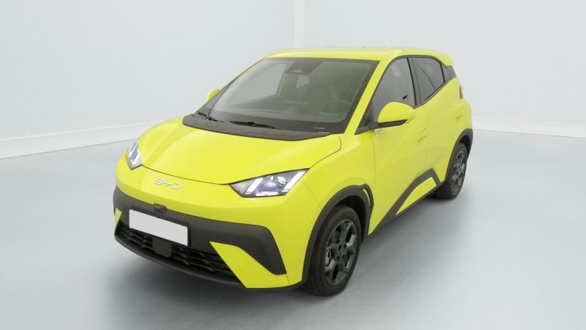 Aperçu du véhicule : 43.2 kWh 156 ch Comfort