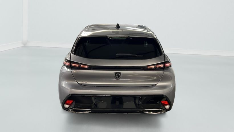 Aperçu du véhicule : Hybrid 145 e-DCS6 Allure