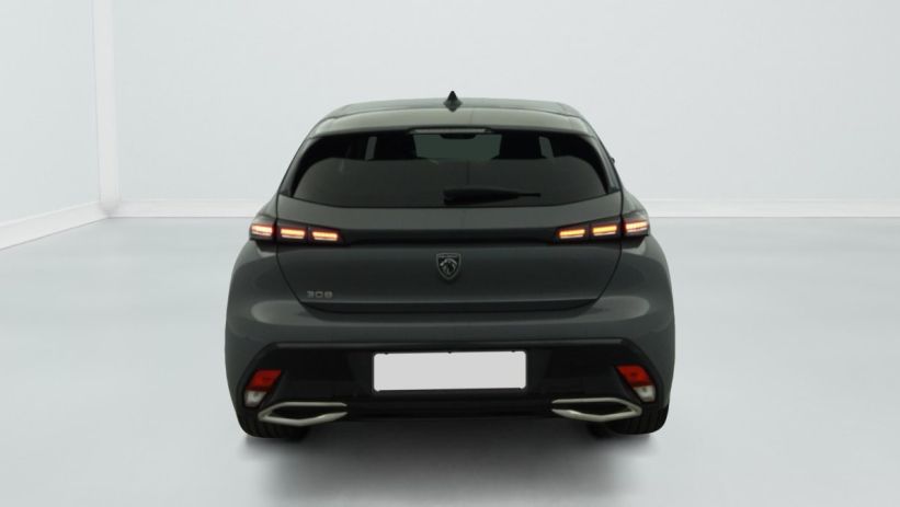 Aperçu du véhicule : Hybrid 145 e-DCS6 Allure