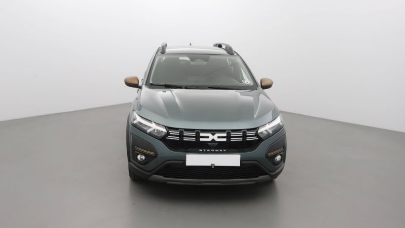 Aperçu du véhicule : 1.0 TCE 110CH STEPWAY EXTREME +