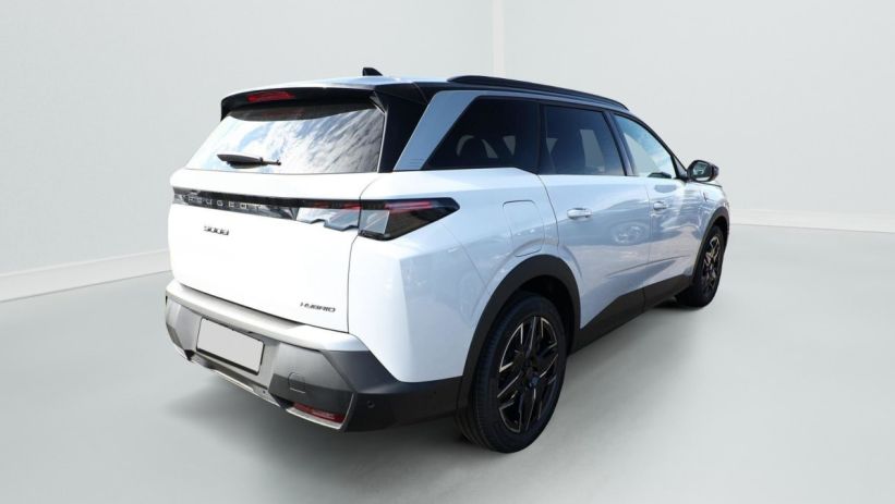 Aperçu du véhicule : Hybrid 145 gt e-dcs6