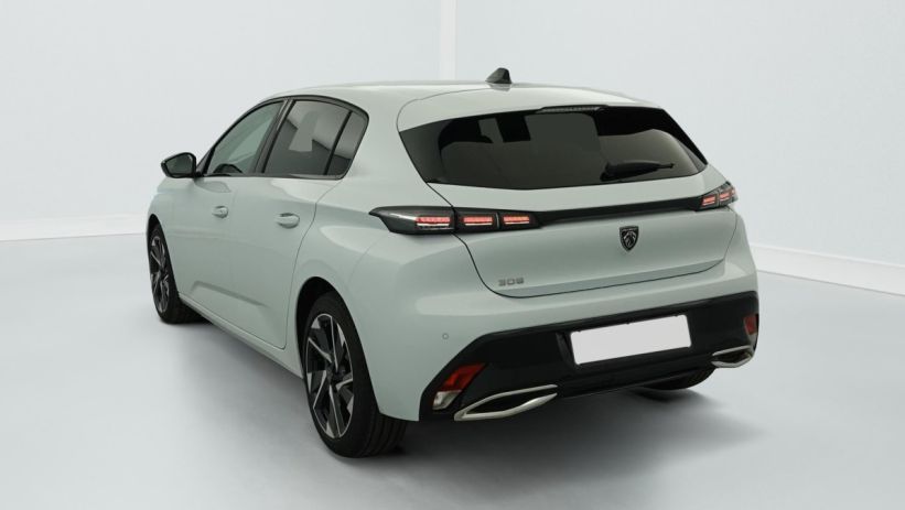 Aperçu du véhicule : Hybrid 145 e-DCS6 Allure