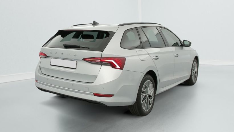Aperçu du véhicule : 1.0 TSI 110 CH AMBITION