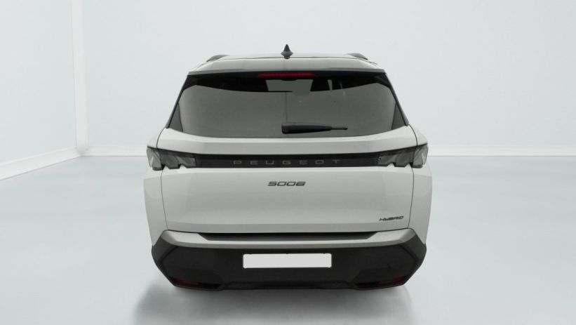 Aperçu du véhicule : Hybrid 145 e-DCS6 GT