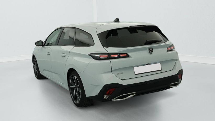 Aperçu du véhicule : Hybrid 145 e-DCS6 Allure