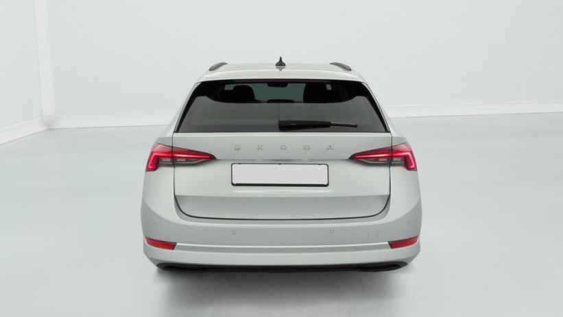 Aperçu du véhicule : 1.0 TSI 110 CH AMBITION