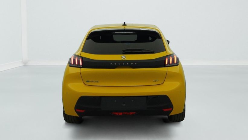 Aperçu du véhicule : 50 KWH 136CH GT
