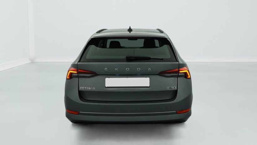 Aperçu du véhicule : 1.0 TSI mHEV e-TEC 110 ch DSG7 Ambition