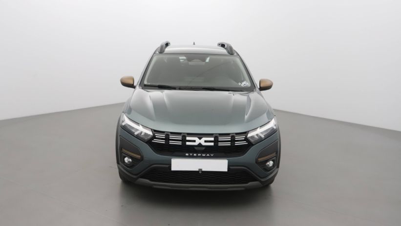 Aperçu du véhicule : 1.0 TCE 110CH STEPWAY EXTREME +