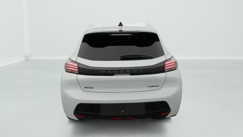 Aperçu du véhicule : Hybrid 110 e-DCS6 Allure