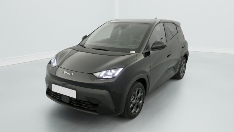 Aperçu du véhicule : 43.2 kWh 156 ch Comfort