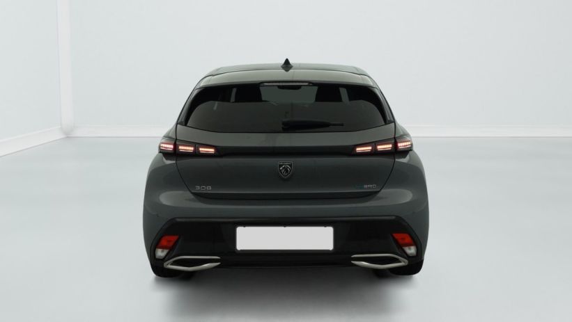 Aperçu du véhicule : PHEV 180 e-EAT8 Allure