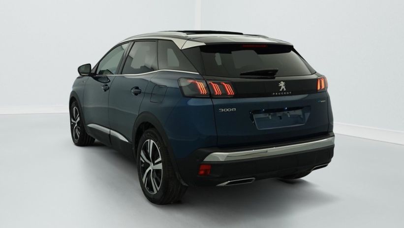 Aperçu du véhicule : Hybrid4 300 e-EAT8 GT