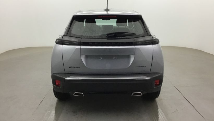 Aperçu du véhicule : 2008 Hybrid 145 e-DCS6 Style